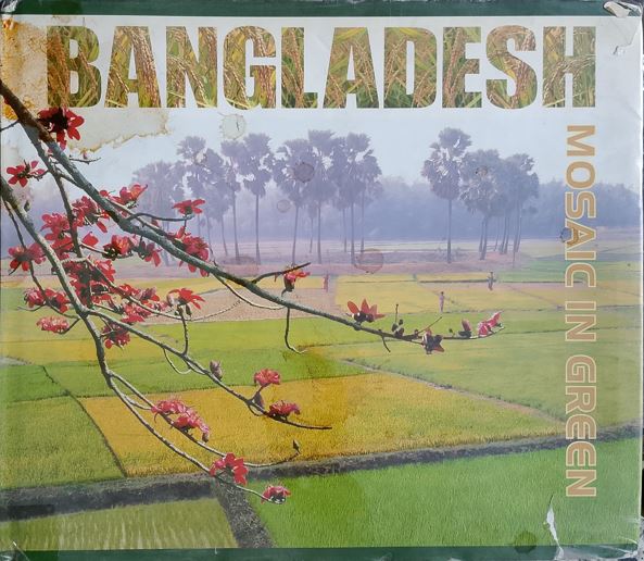BANGLADESH -Mosaic in Green