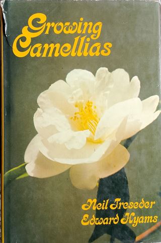 Growing Camellias