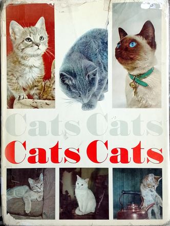 Cats, Cats, Cats, Cats
