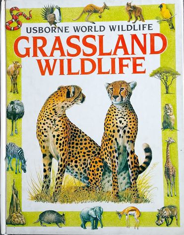 Grassland Wildlife