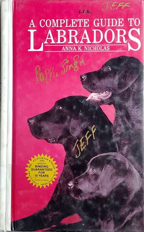 A Complete Guide to Labradors