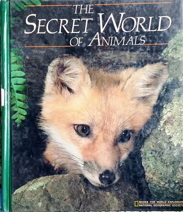 The Secret World  Of Animals