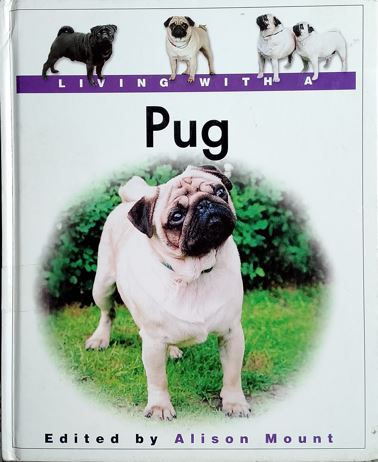 Living With A Pug