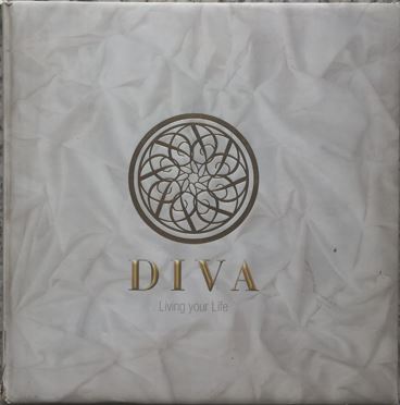 DIVA Living Your Life