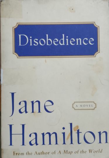 Disobedience: A Novel