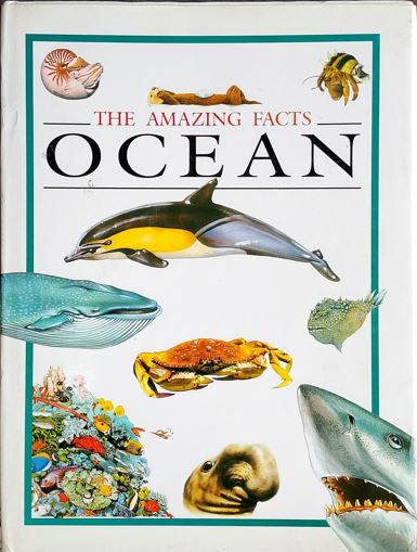 The Amazing Facts: Ocean