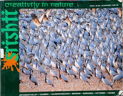 Srishti Creativity In Nature