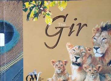 The Gir